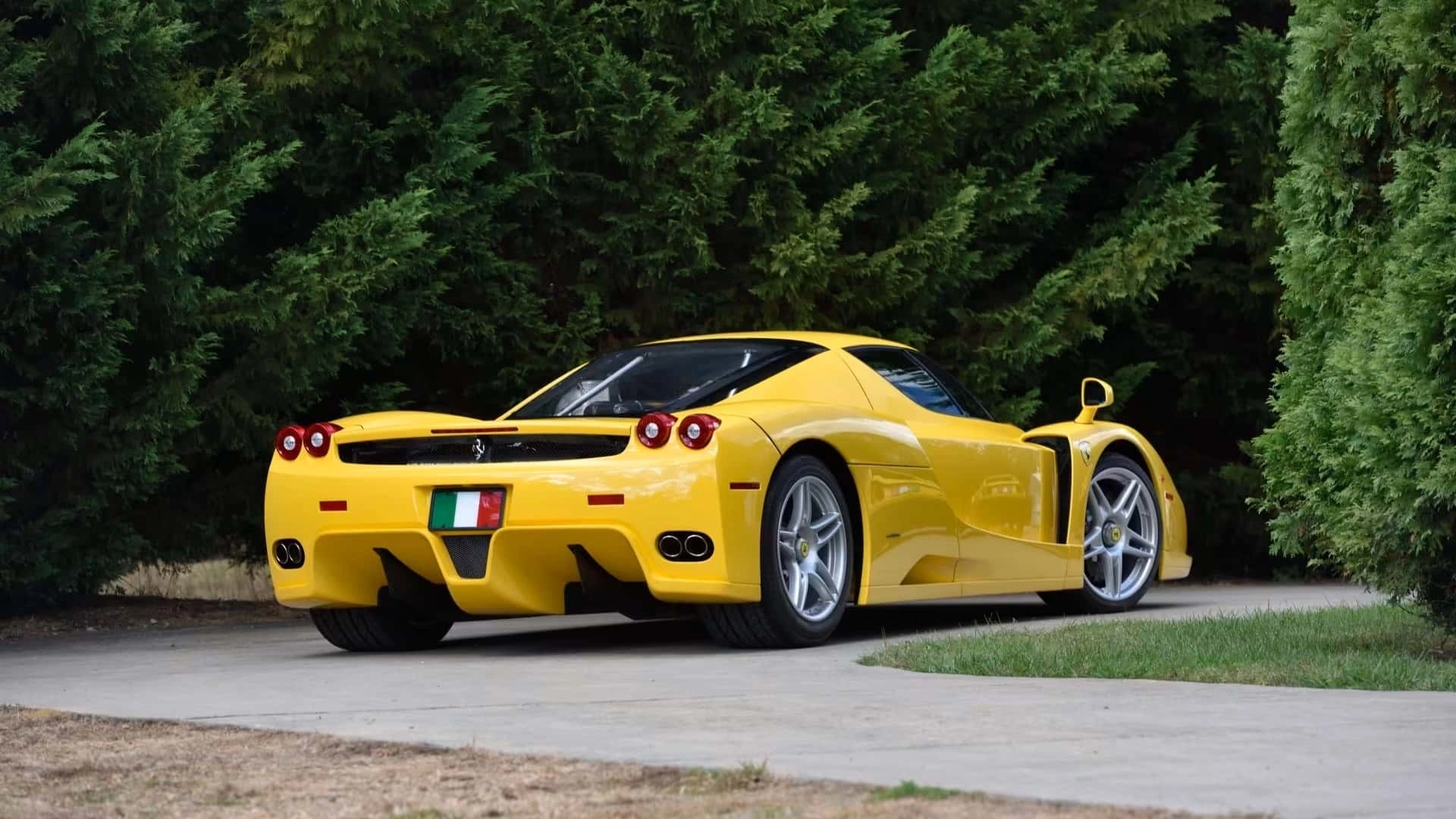 Ferrari enzo (2)